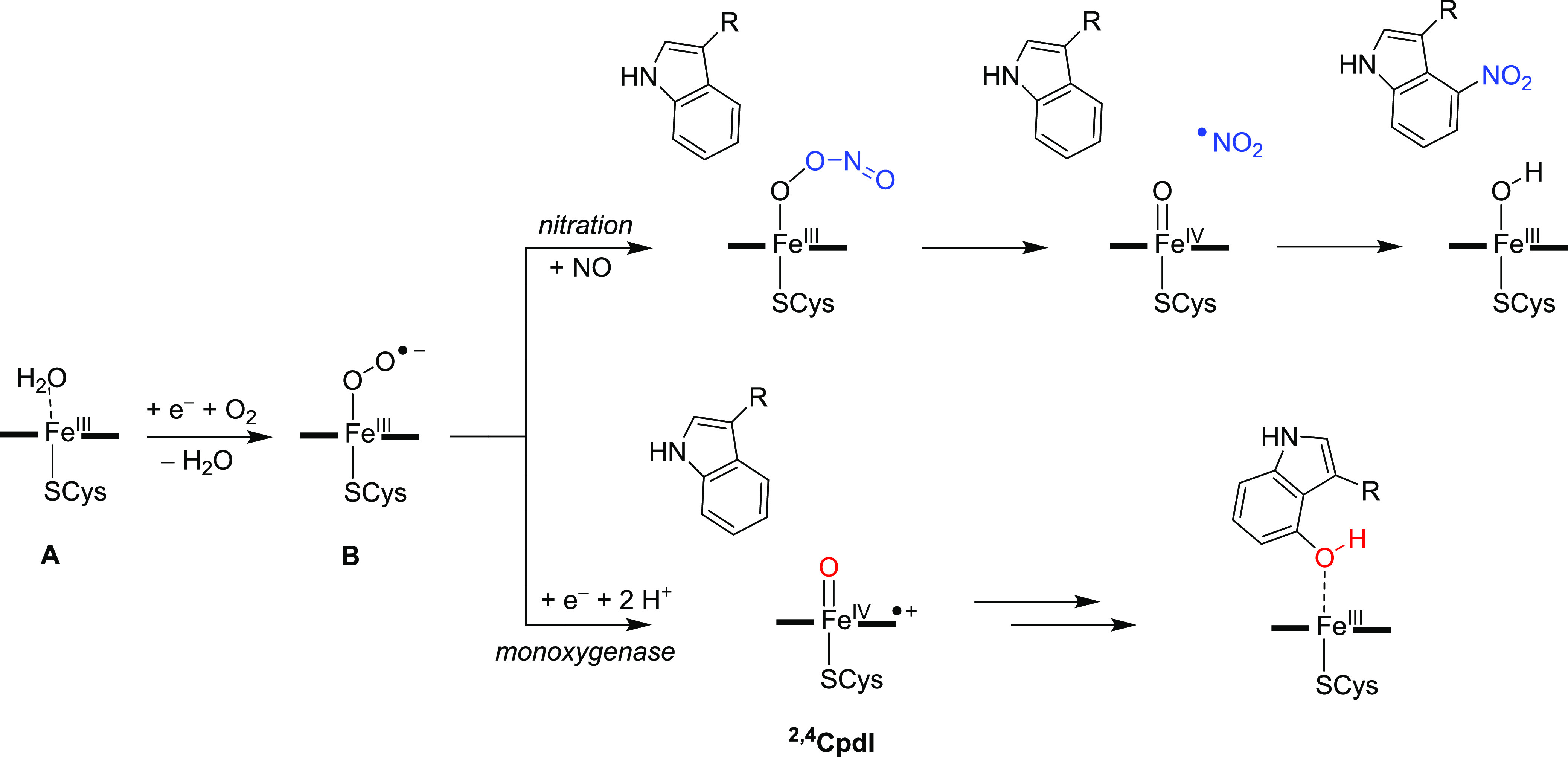 Scheme 5