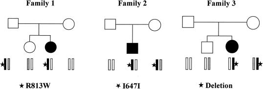 Figure  2