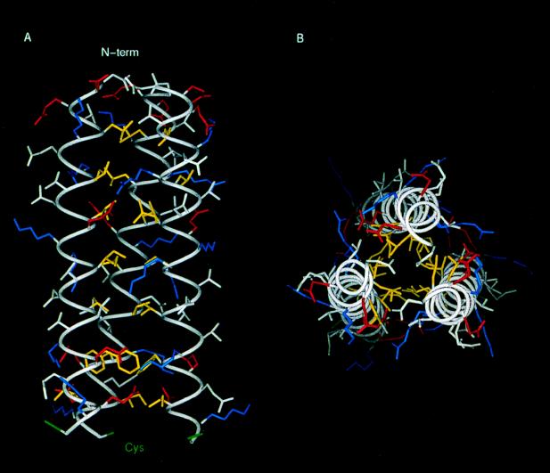 FIG. 6