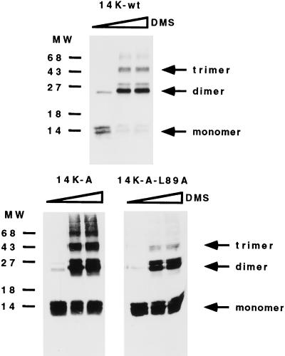 FIG. 5