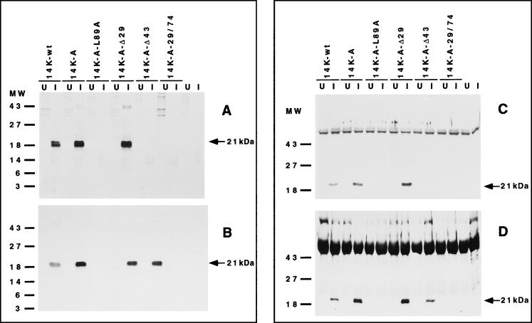 FIG. 7