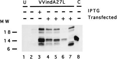 FIG. 8