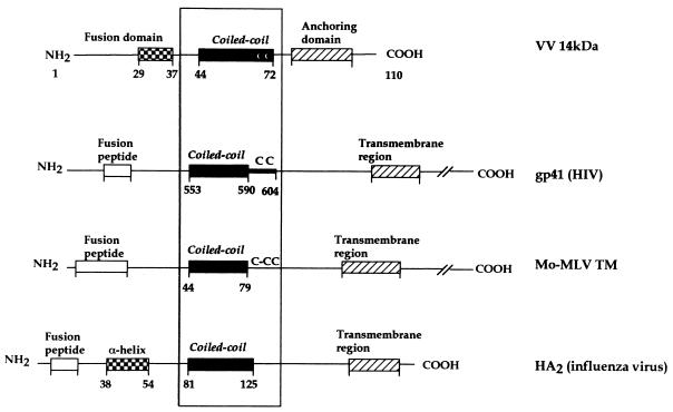 FIG. 9