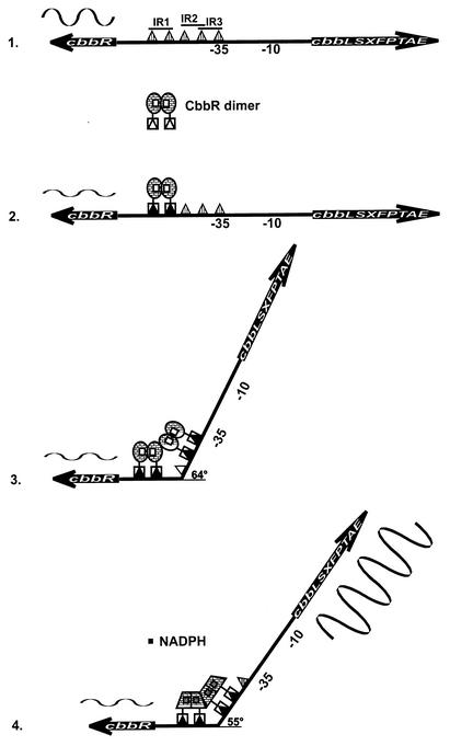 FIG. 7.