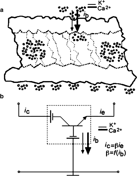 Fig. 5