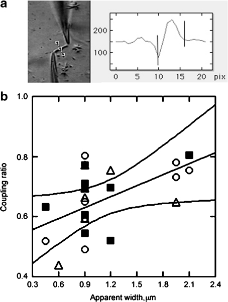 Fig. 2