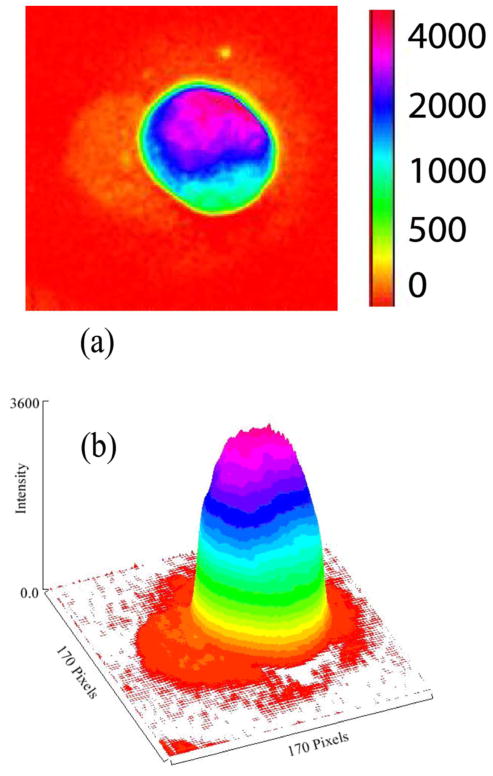 Fig. 3