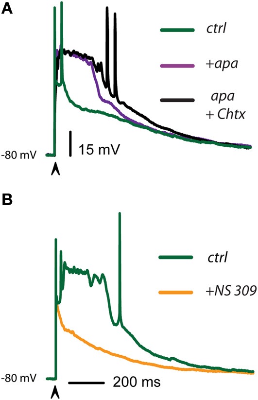 Figure 5