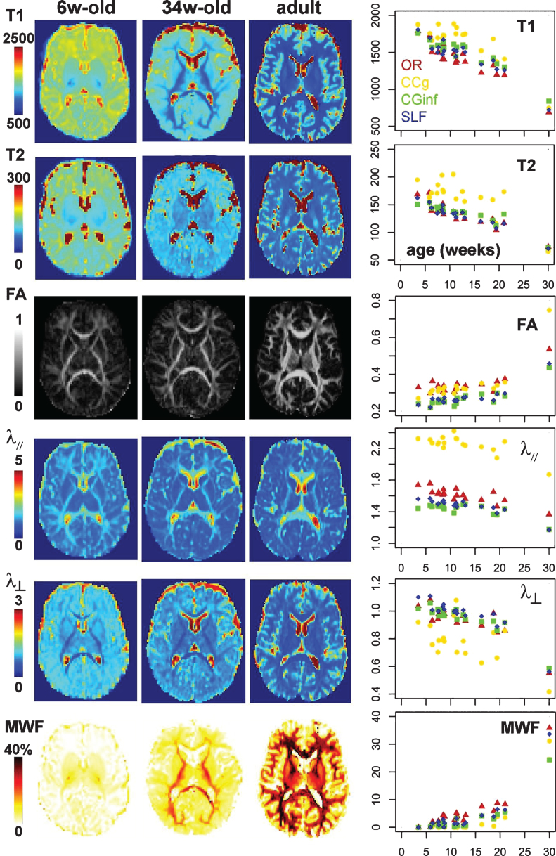 Fig.3