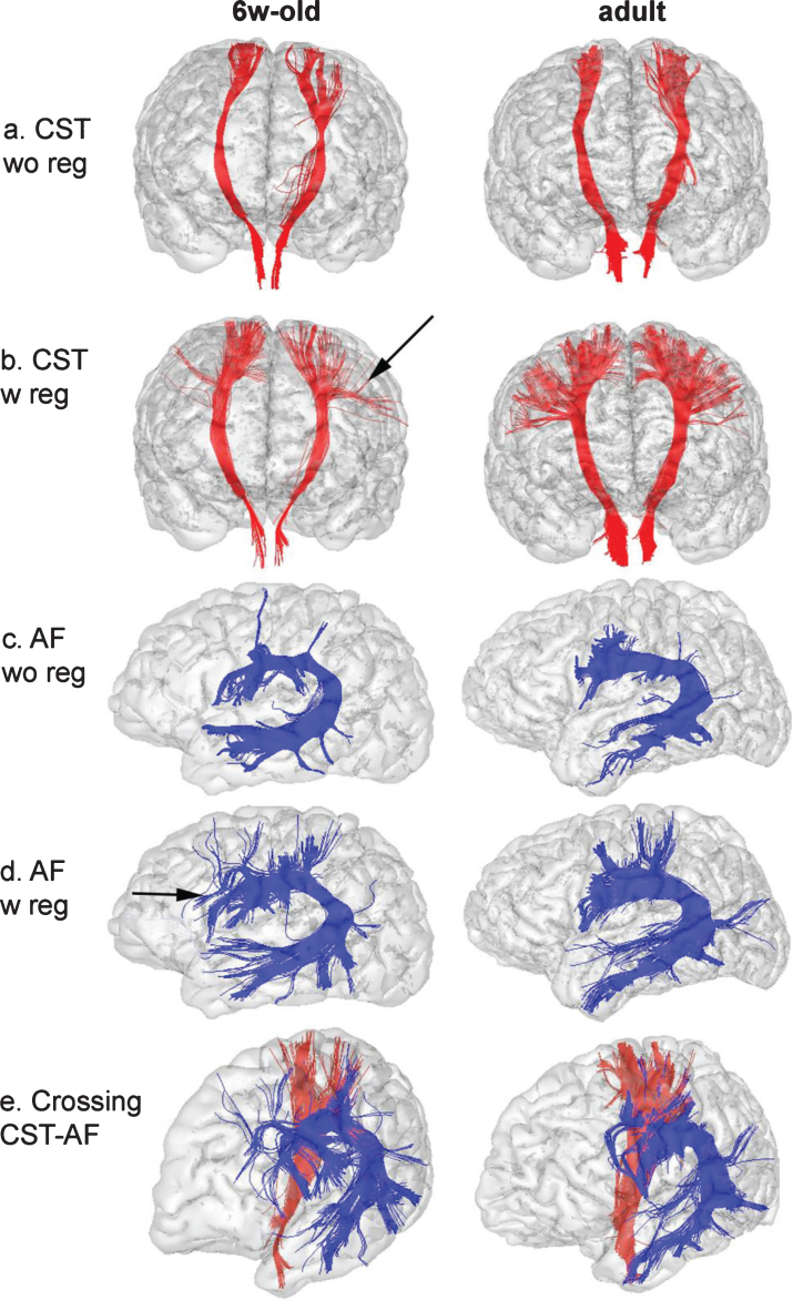 Fig.2