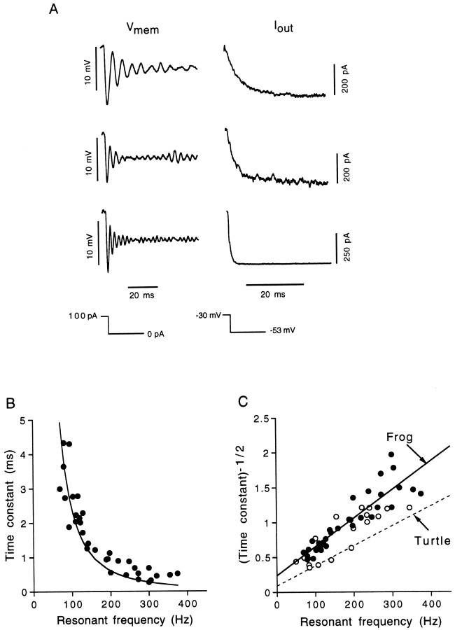 Fig. 12.