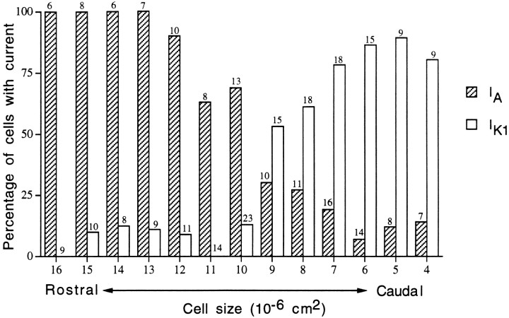 Fig. 10.