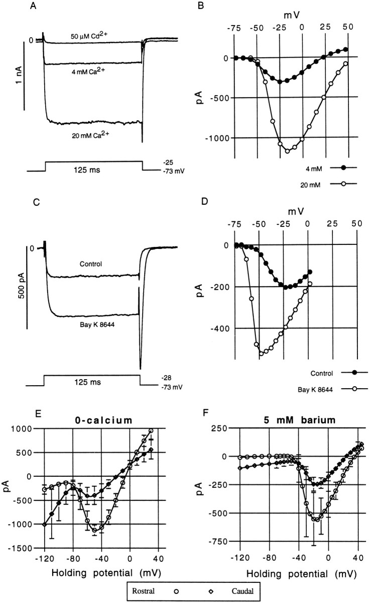 Fig. 8.