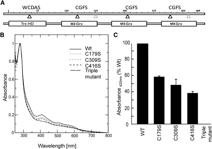 Figure 5.