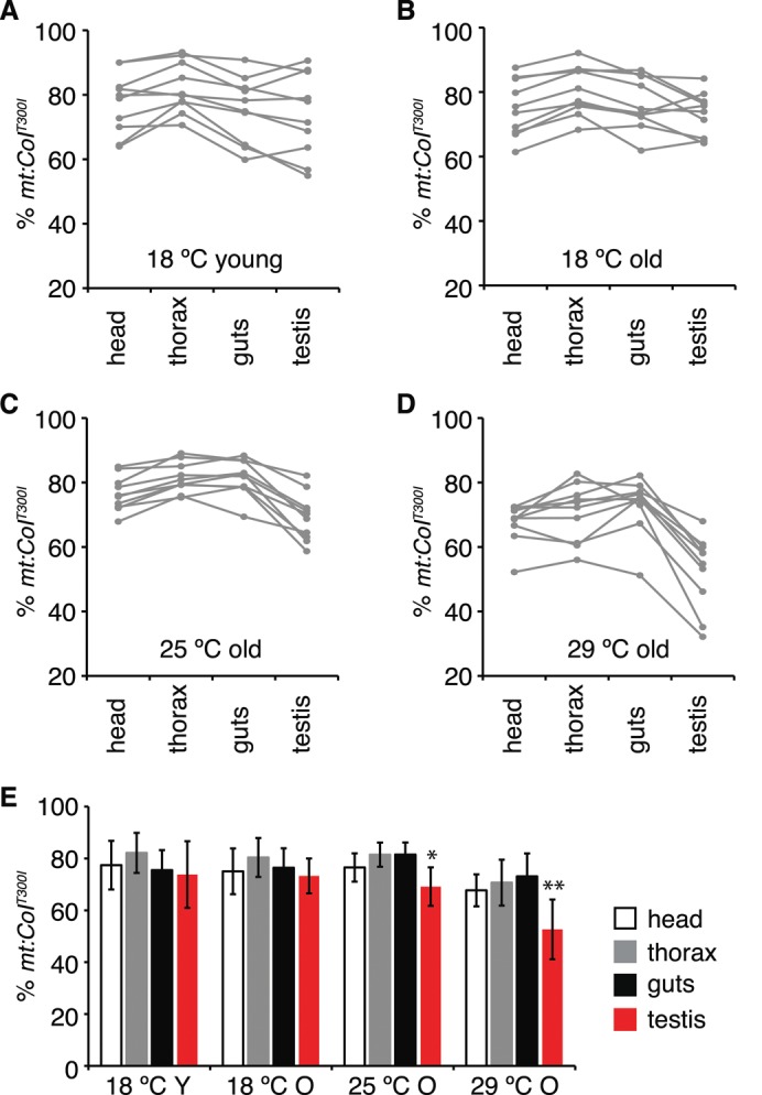 FIGURE 3: