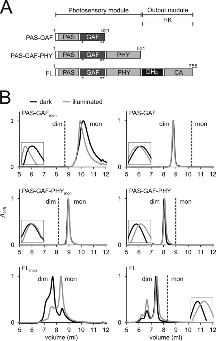 FIGURE 1.