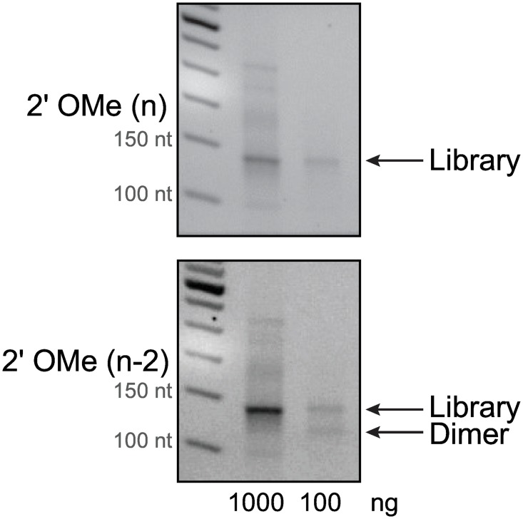 Fig 5