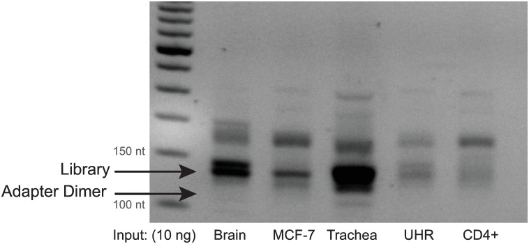 Fig 9