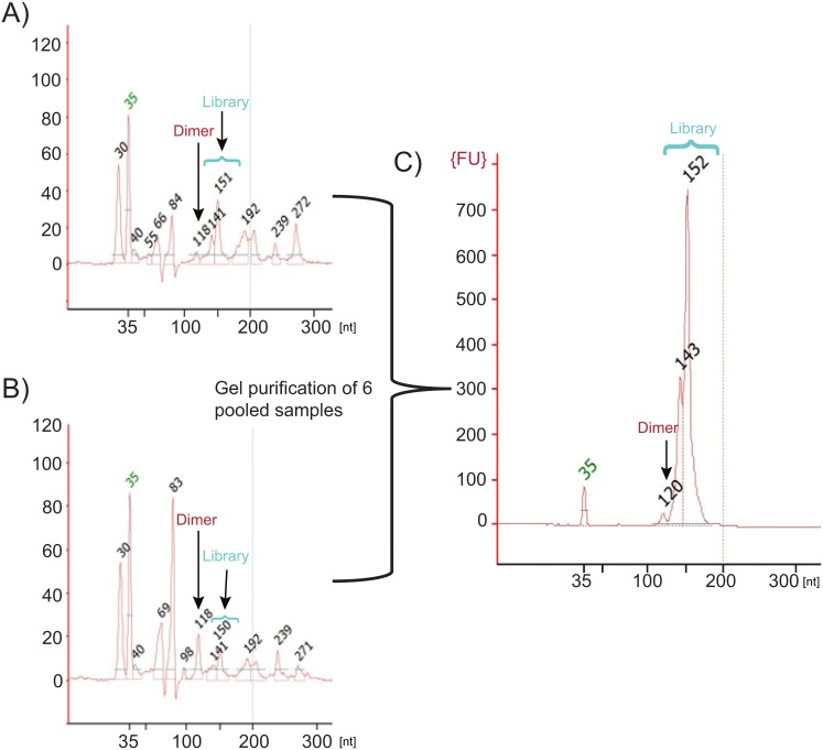 Fig 12