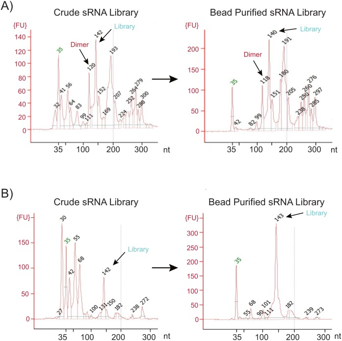 Fig 10