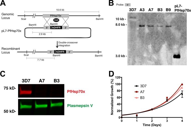 FIG 4 