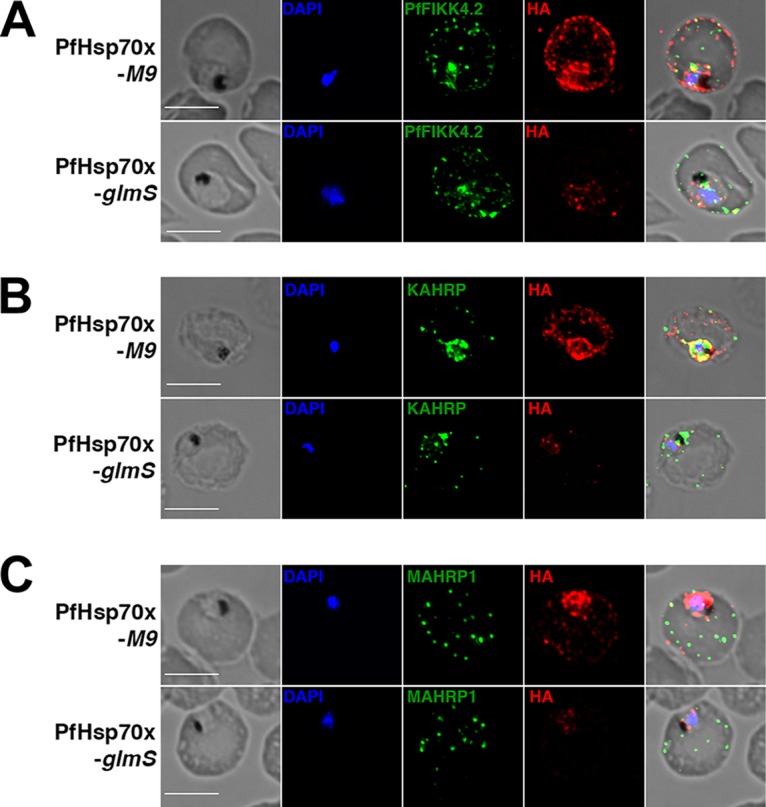 FIG 3 