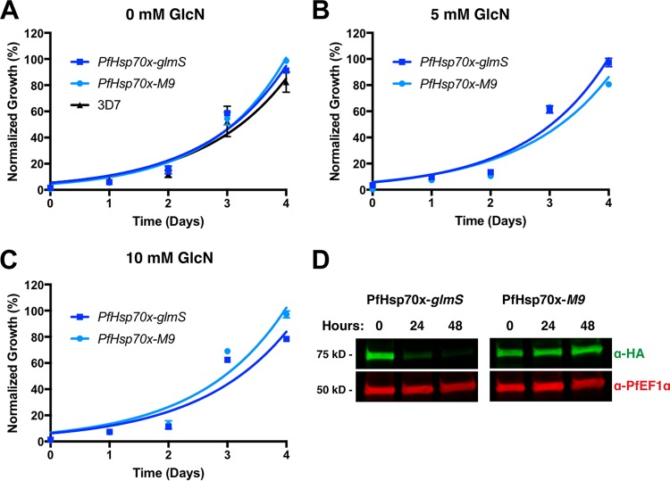 FIG 2 