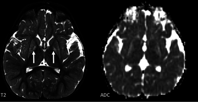 FIG 10.