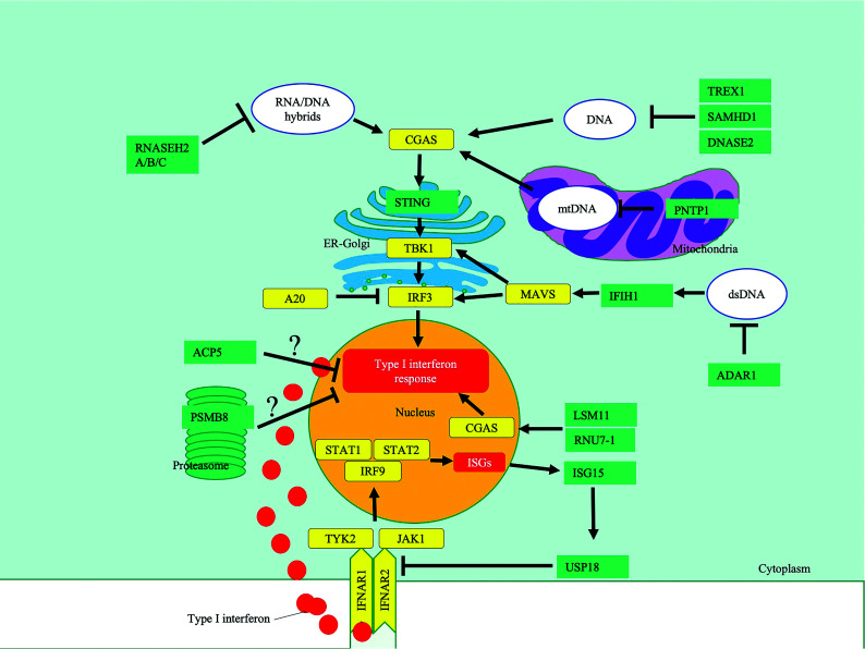 FIG 1.