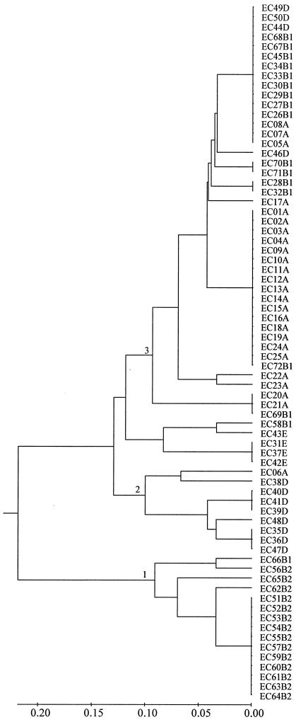 FIG. 4.