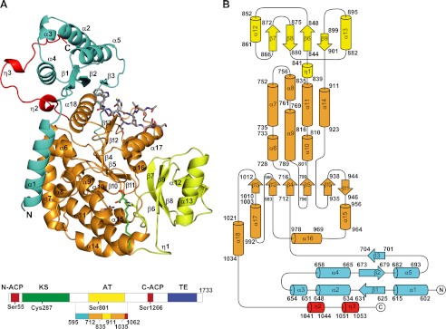 FIGURE 2.