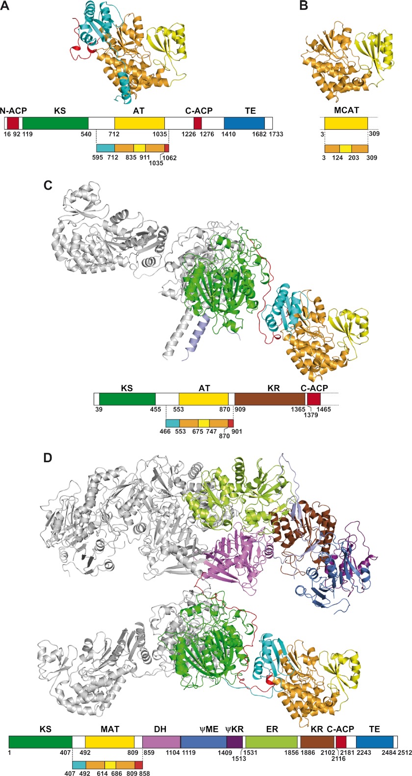 FIGURE 3.