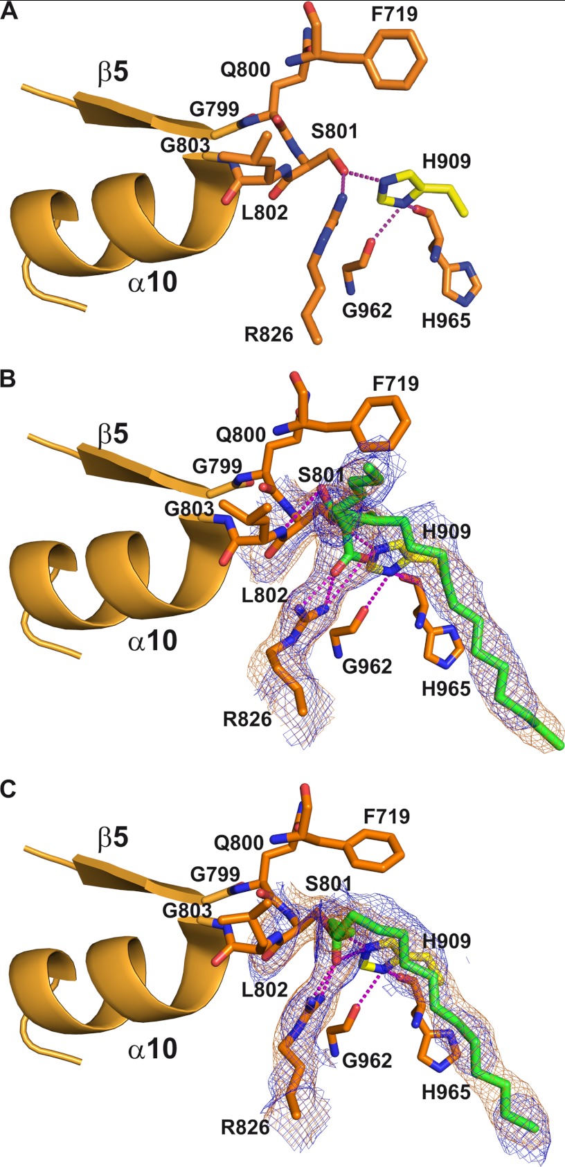 FIGURE 5.