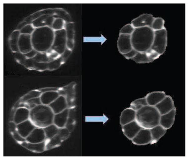 Fig. 10