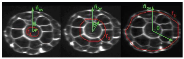 Fig. 3