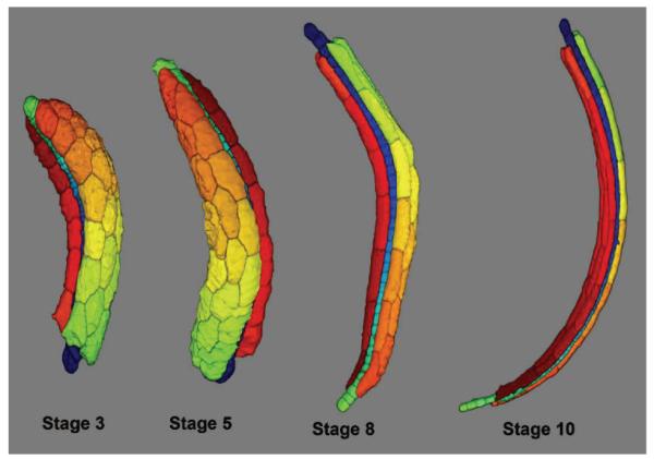 Fig. 7