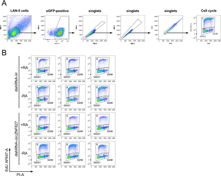 Figure 2—figure supplement 3.