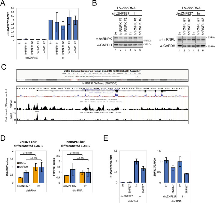 Figure 6—figure supplement 1.