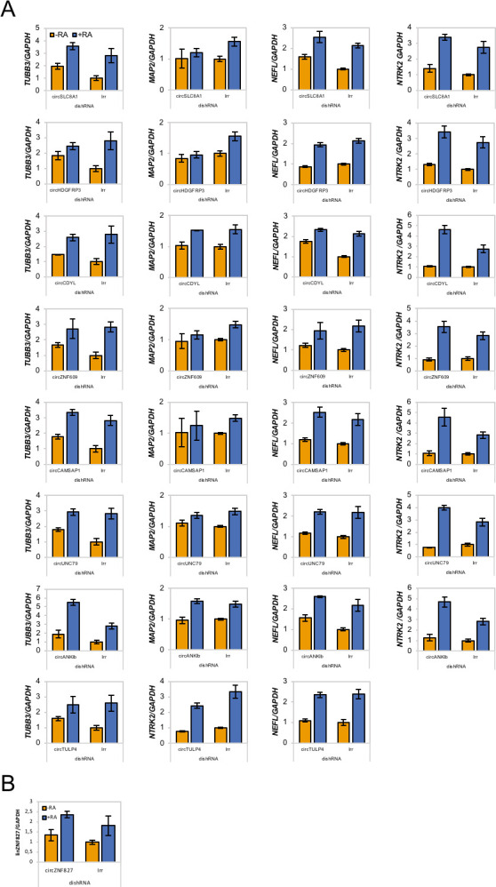 Figure 2—figure supplement 2.