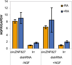 Figure 4—figure supplement 1.