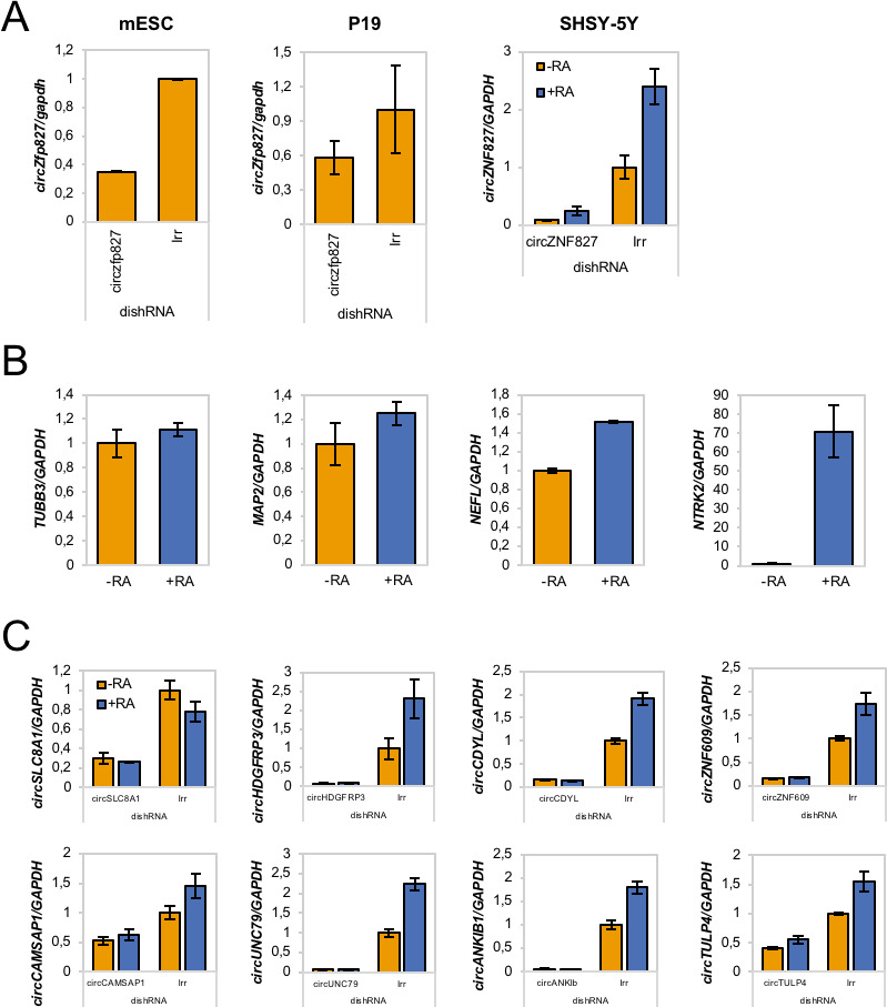 Figure 2—figure supplement 1.