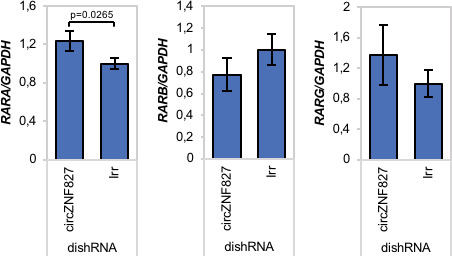 Figure 3—figure supplement 1.