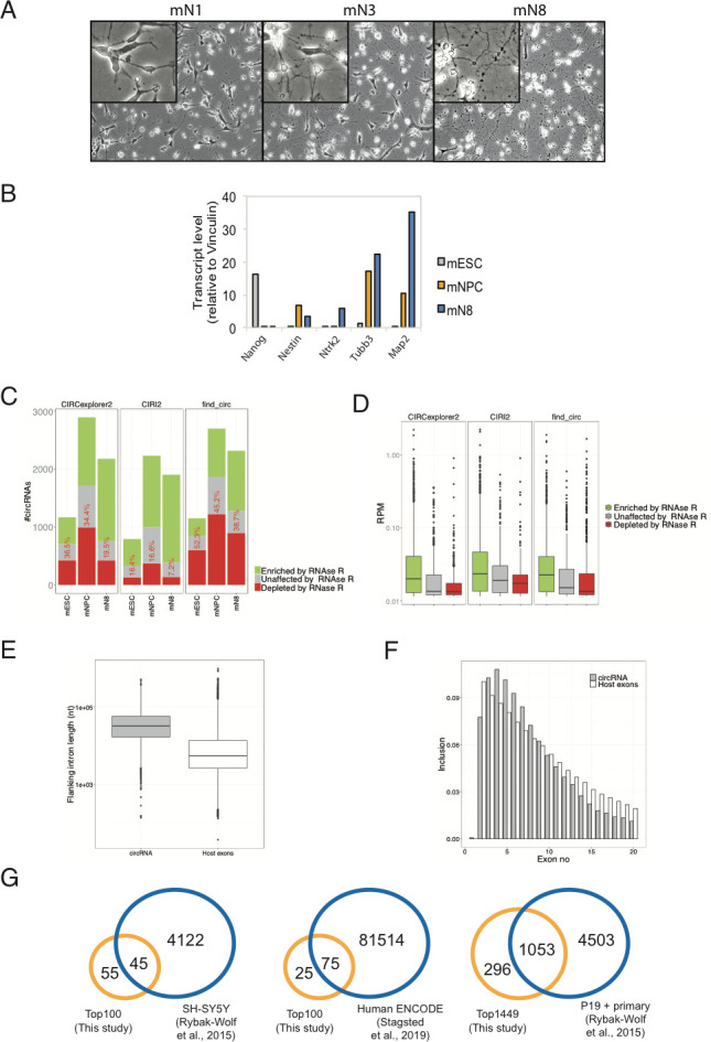 Figure 1—figure supplement 1.