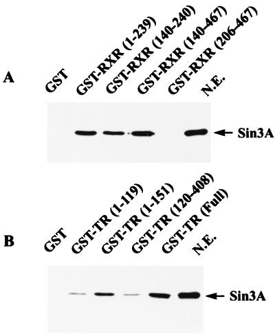 FIG. 11