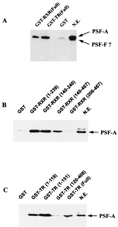 FIG. 5