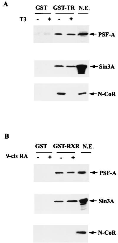 FIG. 14