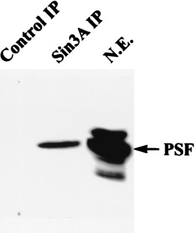 FIG. 9