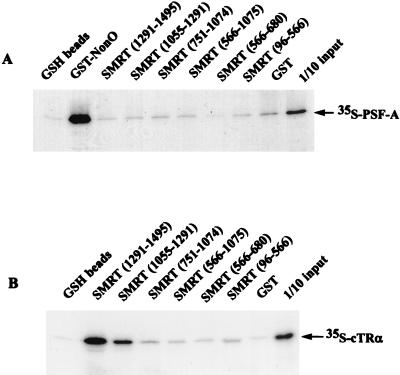 FIG. 12