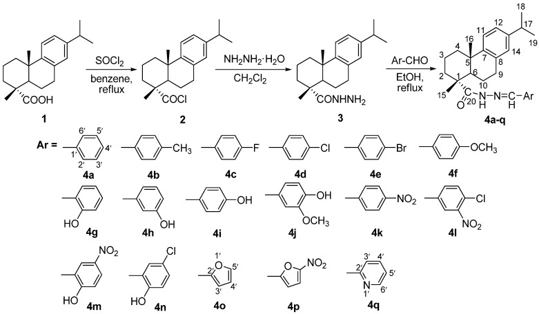 Scheme 1