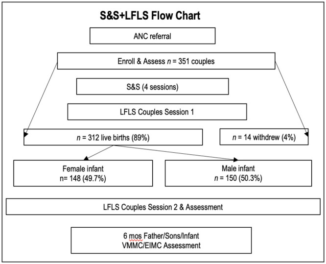 Fig 1